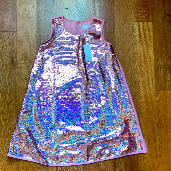 BCBGirls Other - Bcbg girls pink sequin dress